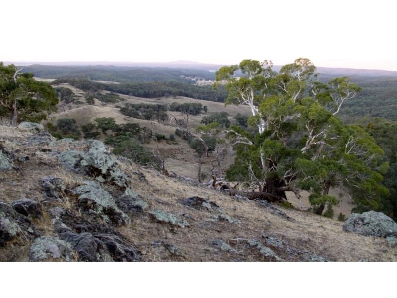 898 Porcupine Ridge Rd, Porcupine Ridge VIC 3461
