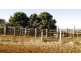 898 Porcupine Ridge Rd, Porcupine Ridge VIC 3461