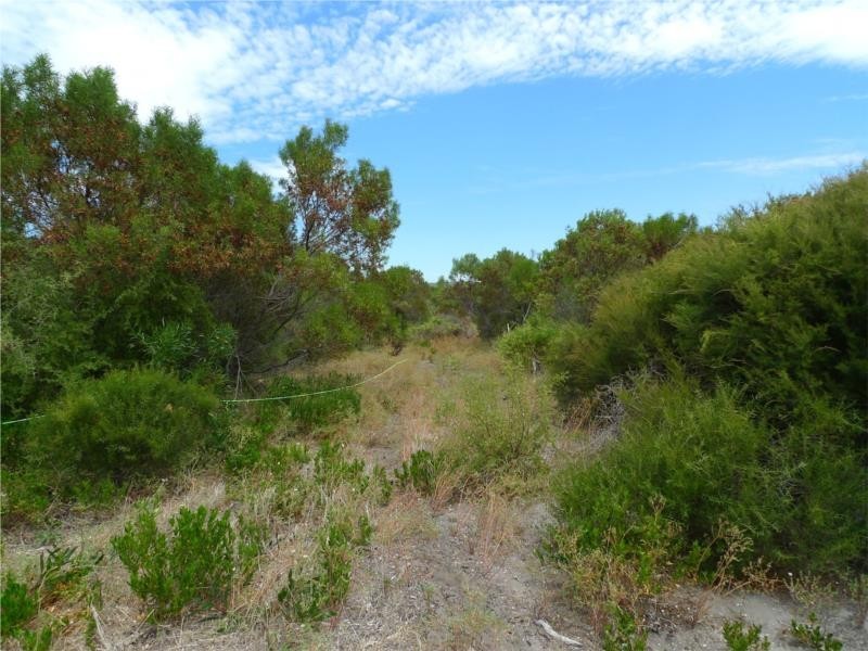 Lot 24 Barook Rd, Pink Lake WA 6450