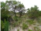 Lot 24 Barook Rd, Pink Lake WA 6450