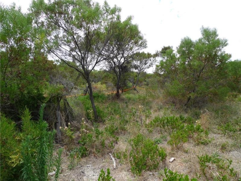 Lot 24 Barook Rd, Pink Lake WA 6450