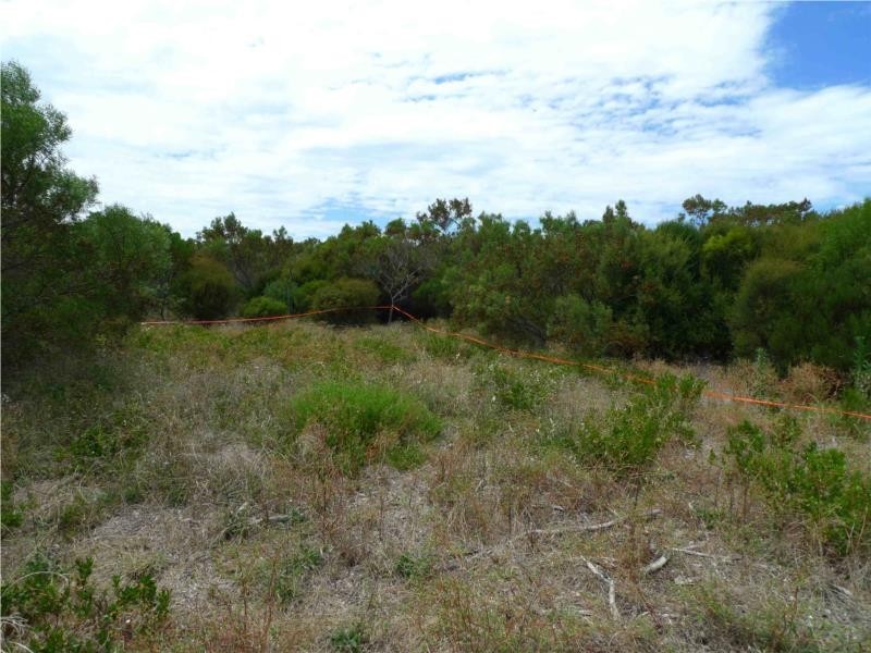 Lot 24 Barook Rd, Pink Lake WA 6450