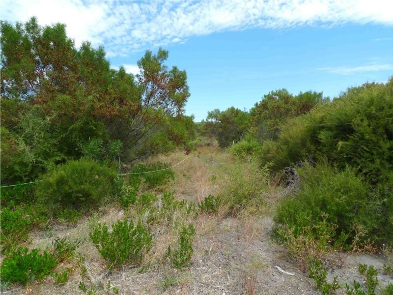 Lot 24 Barook Rd, Pink Lake WA 6450