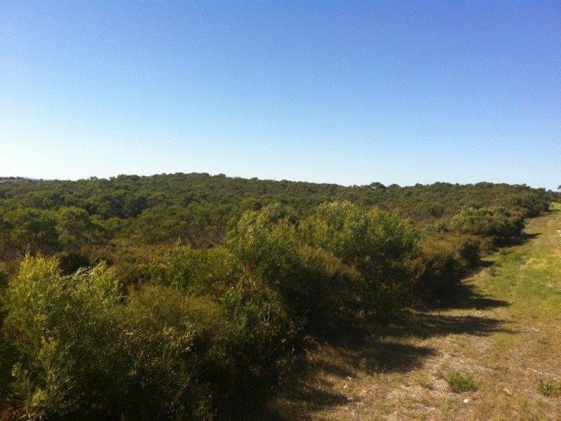 Lot 24 Barook Rd, Pink Lake WA 6450
