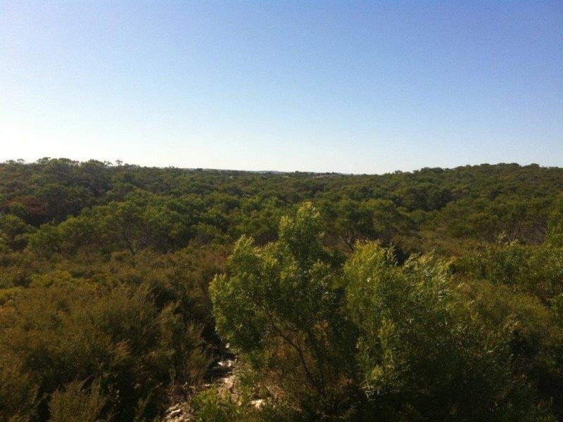 Lot 24 Barook Rd, Pink Lake WA 6450