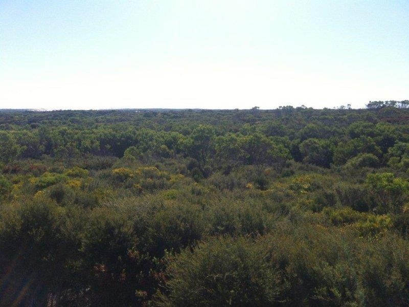 Lot 24 Barook Rd, Pink Lake WA 6450