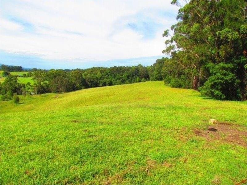 7 Gordons Knob Road, Newee Creek NSW 2447