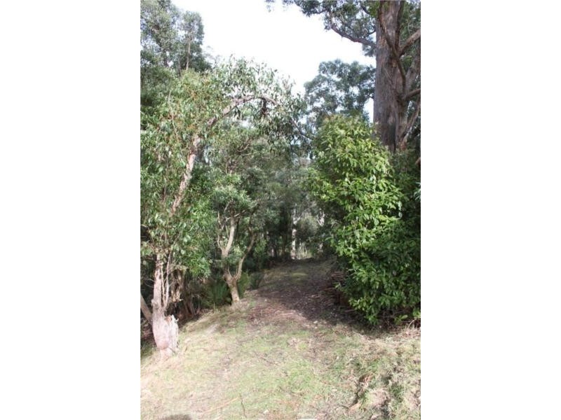45 Summerleas Rd, Fern Tree TAS 7054