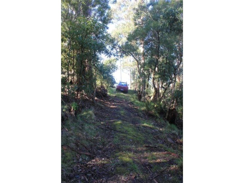 45 Summerleas Rd, Fern Tree TAS 7054
