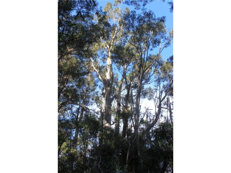 45 Summerleas Rd, Fern Tree TAS 7054