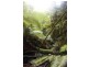45 Summerleas Rd, Fern Tree TAS 7054