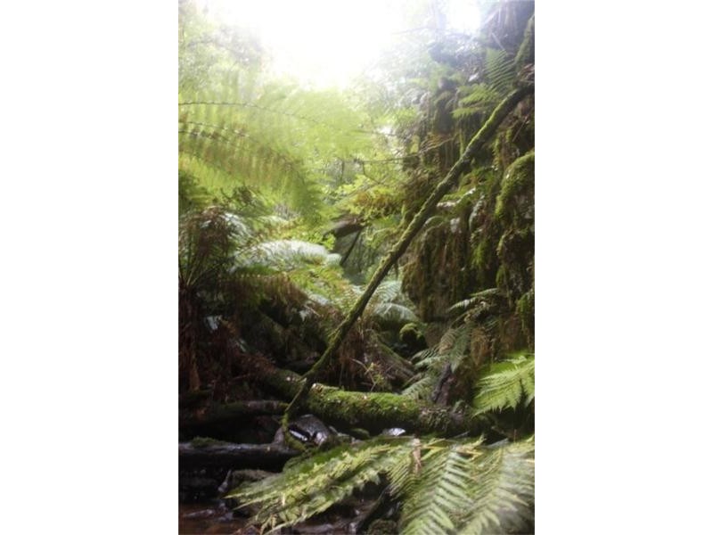 45 Summerleas Rd, Fern Tree TAS 7054