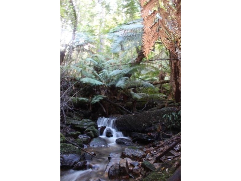 45 Summerleas Rd, Fern Tree TAS 7054