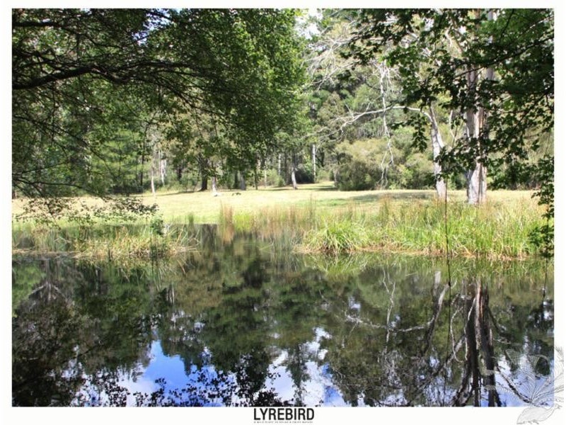 5A Lyrebird Gully Road, Harrietville VIC 3741