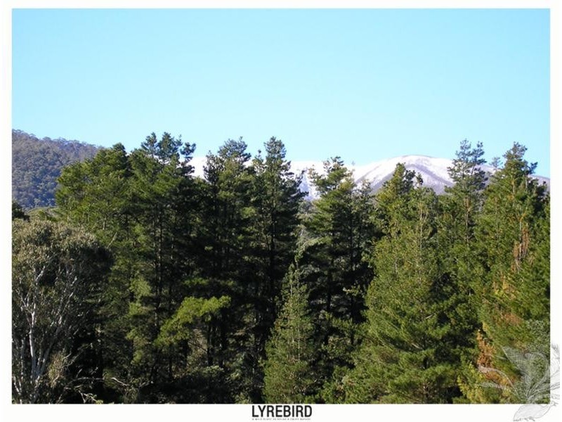 5A Lyrebird Gully Road, Harrietville VIC 3741