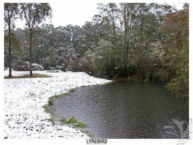 5A Lyrebird Gully Road, Harrietville VIC 3741