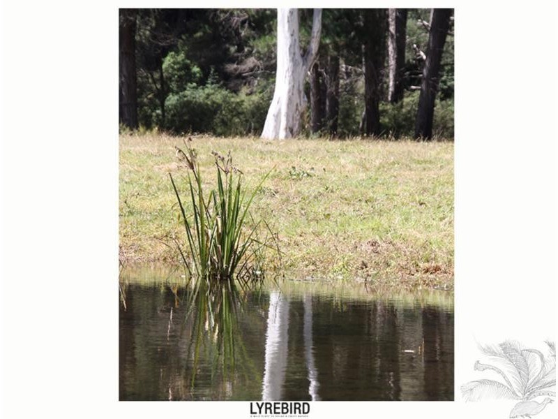 5A Lyrebird Gully Road, Harrietville VIC 3741