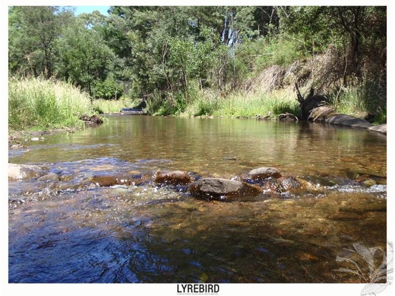 5A Lyrebird Gully Road, Harrietville VIC 3741