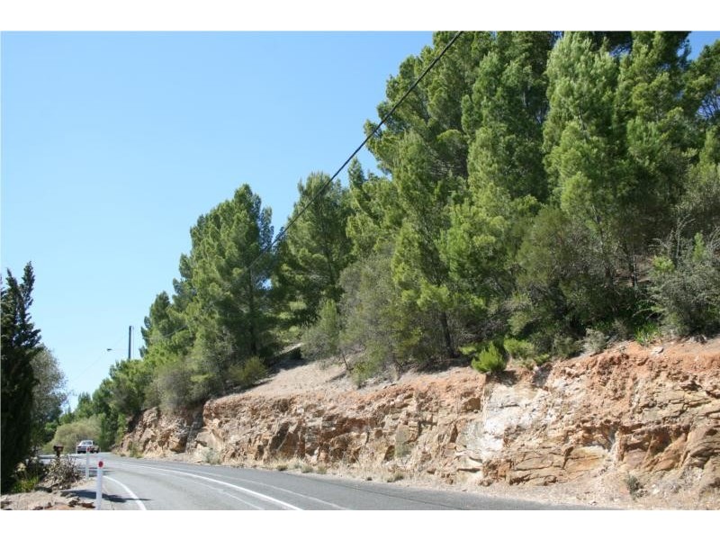 90 Sunnyside Road, Glen Osmond SA 5064