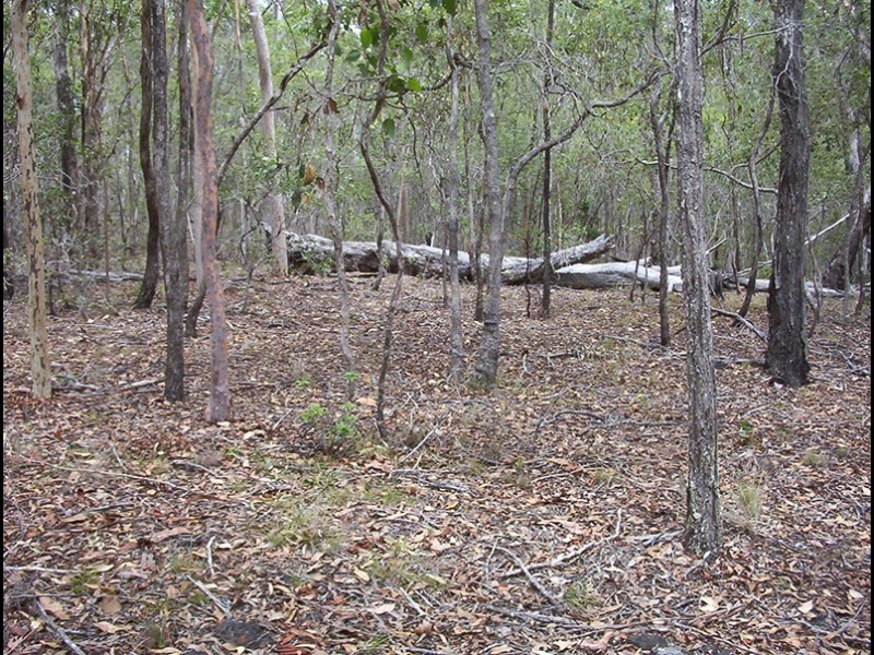 572 Mineral Road, Rosedale QLD 4674