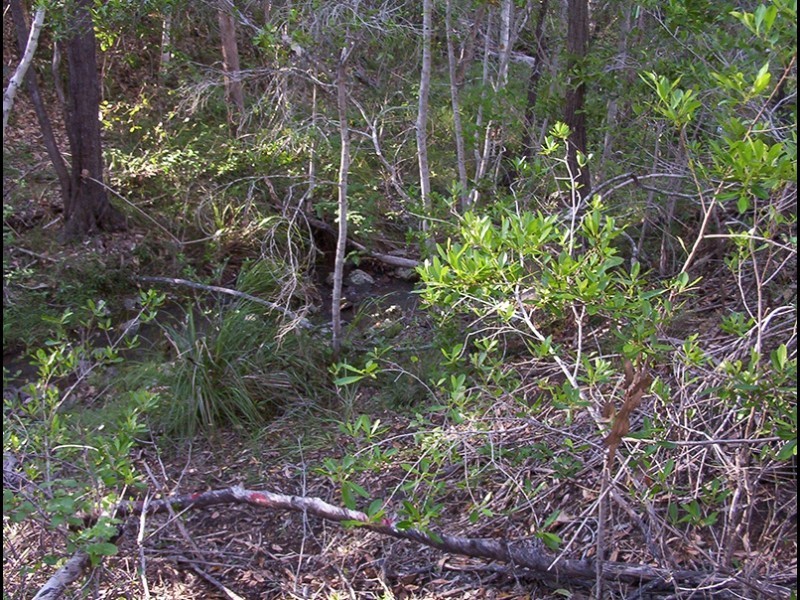 572 Mineral Road, Rosedale QLD 4674