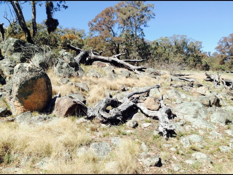 Lot 99 Micalago Road, Michelago NSW 2620