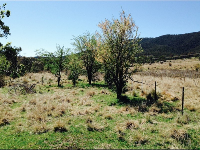 Lot 99 Micalago Road, Michelago NSW 2620