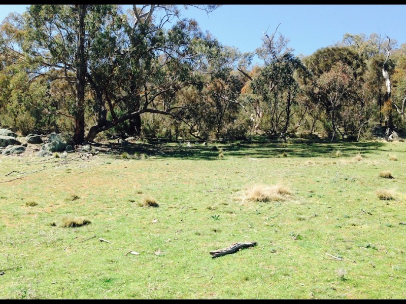 Lot 99 Micalago Road, Michelago NSW 2620