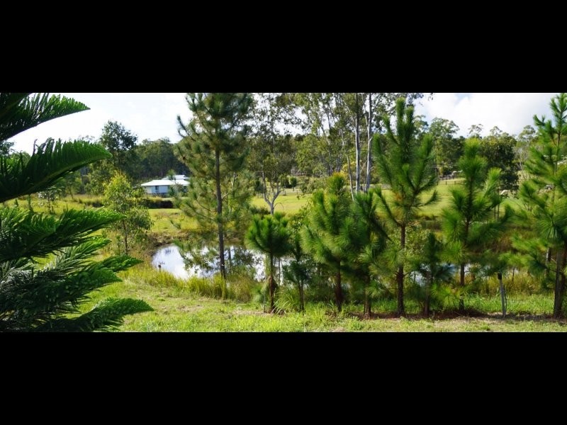 52 Arborten Road, Glenwood QLD 4570