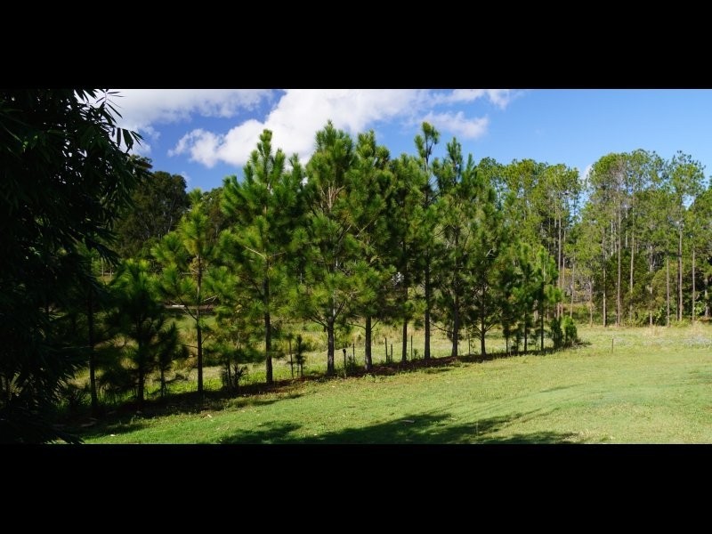 52 Arborten Road, Glenwood QLD 4570