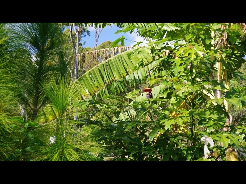 52 Arborten Road, Glenwood QLD 4570