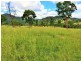 Tenterfield NSW 2372