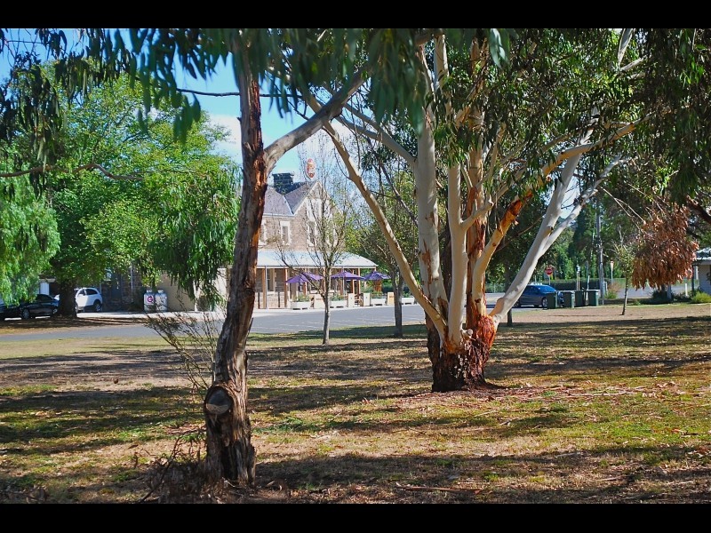94 Napier Street, Inverleigh VIC 3321