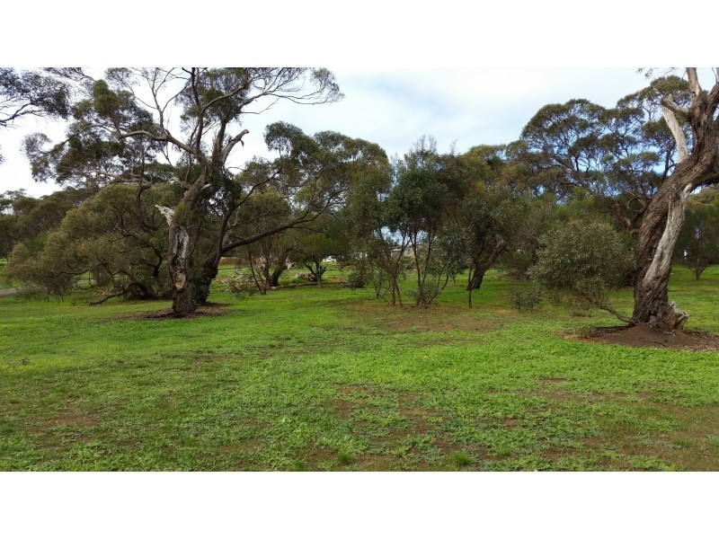 15/50-60 Bronze Wing Drive, Boston SA 5607