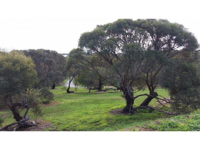 15/50-60 Bronze Wing Drive, Boston SA 5607