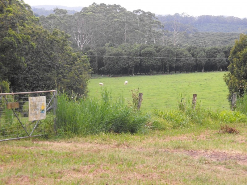 196 Fletcher Road, Dunoon NSW 2480