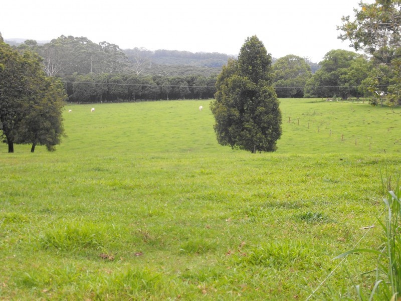 196 Fletcher Road, Dunoon NSW 2480