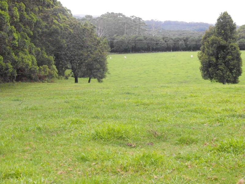 196 Fletcher Road, Dunoon NSW 2480