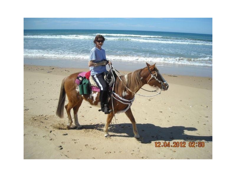 17 Government Road, Woodside VIC 3874