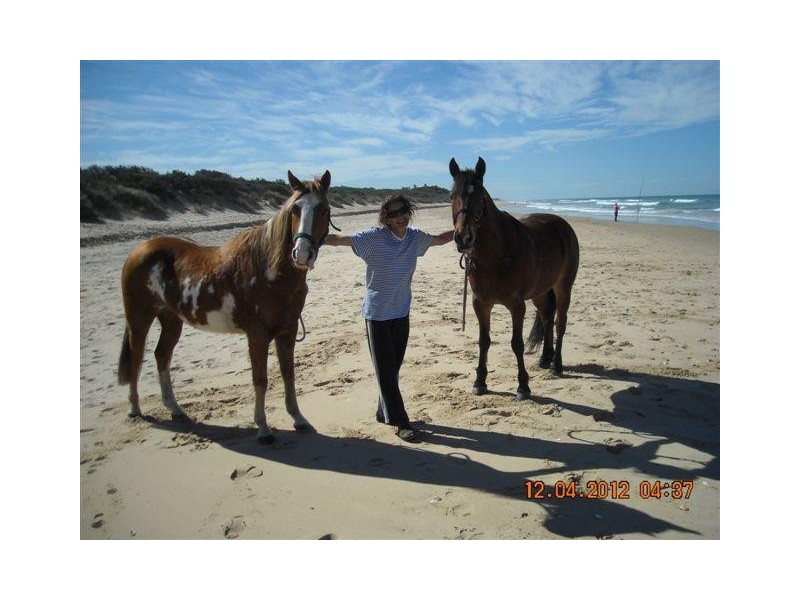 17 Government Road, Woodside VIC 3874