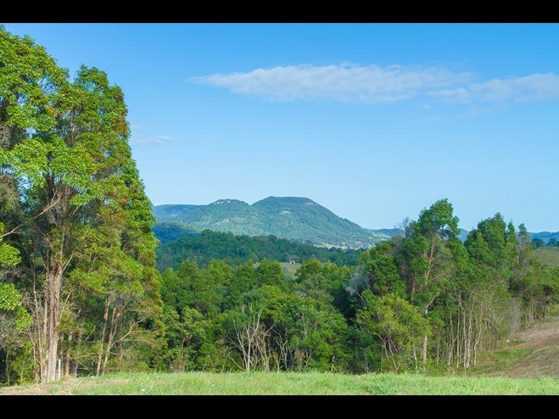 L9/133 Jocelyn Drive, Eumundi QLD 4562