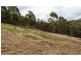 43 Louden Street, South Hobart TAS 7004