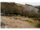 43 Louden Street, South Hobart TAS 7004