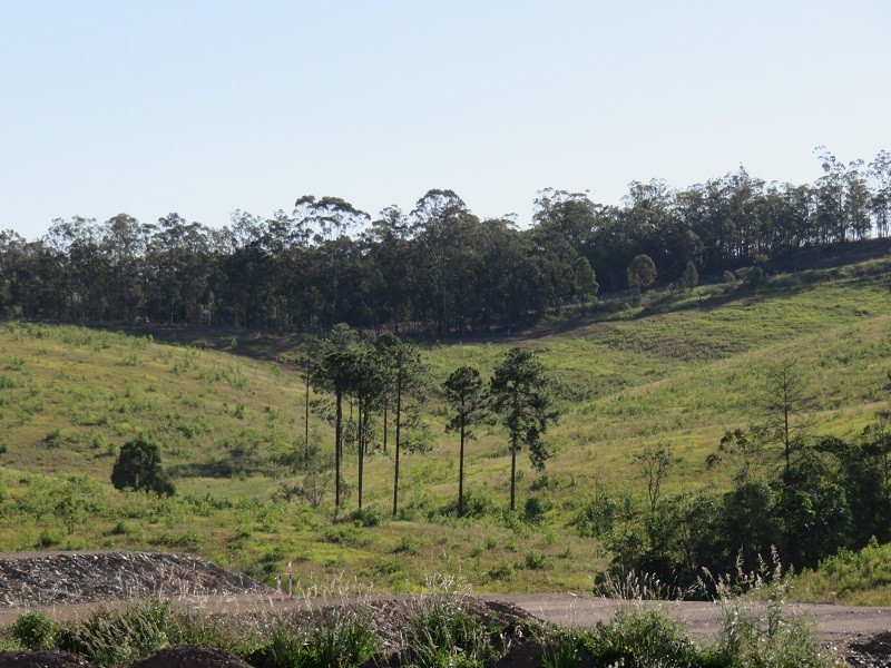 12 Noble Crescent, Narangba QLD 4504