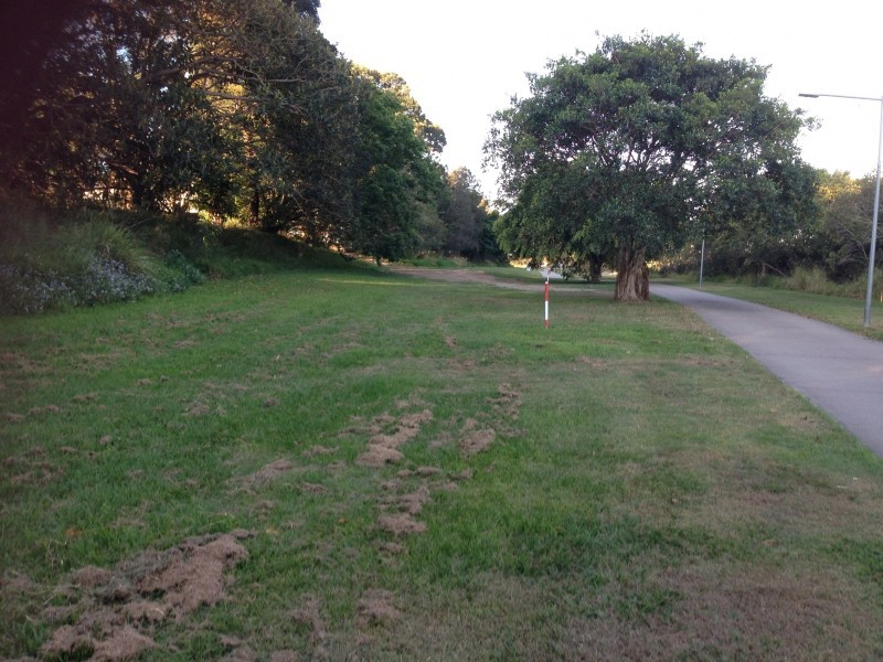 14 Wallaby Street, Nundah QLD 4012