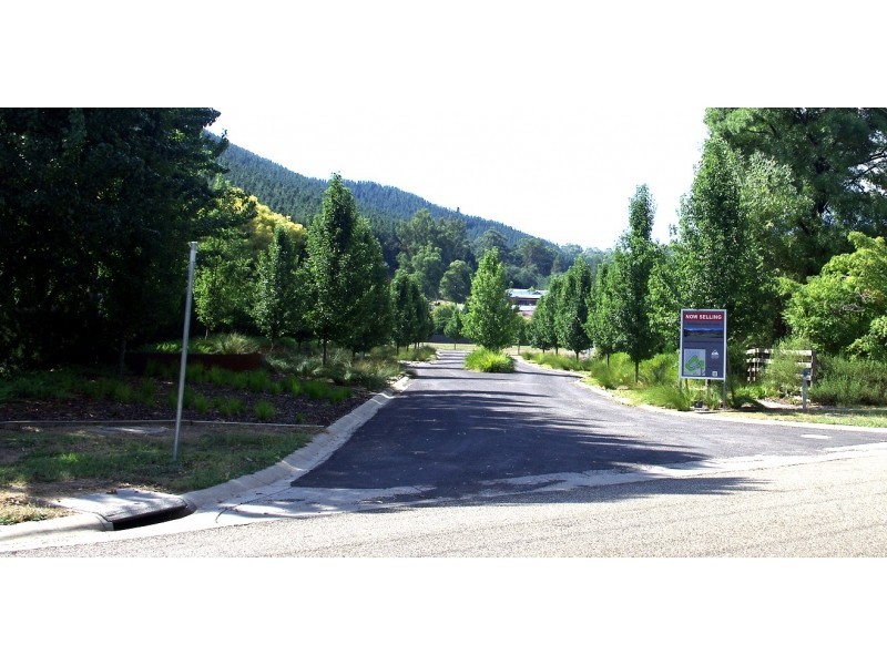 54 Mountain Mist Drive, Bright VIC 3741