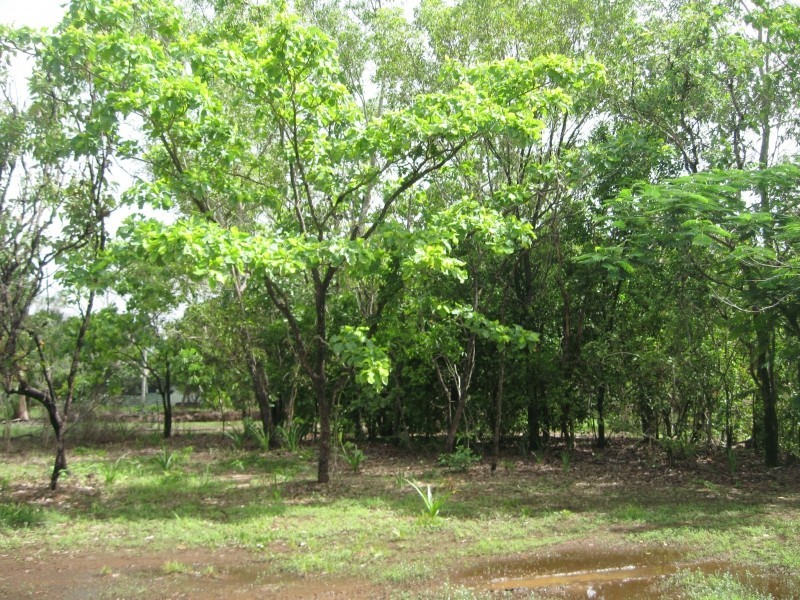 Lot 3269/15 Andreas Avenue, Dundee Beach NT 0840