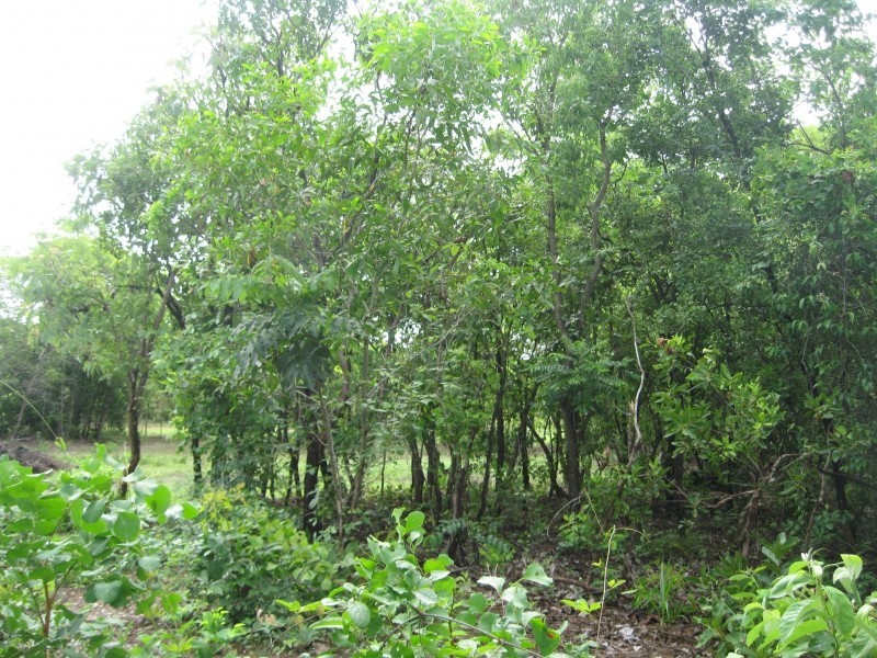 Lot 3269/15 Andreas Avenue, Dundee Beach NT 0840