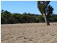 5 Folly Road, Frankland WA 6396