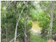 134 Pacific Haven Circuit, Pacific Haven QLD 4659
